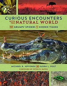Curious Encounters with the Natural World From Grumpy Spiders to Hidden Tigers