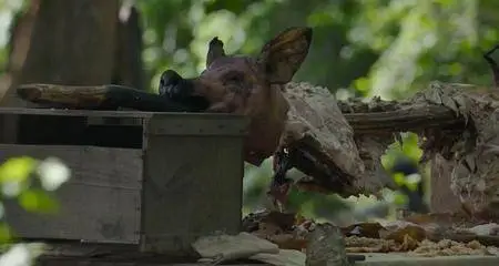 Free State of Jones (2016)