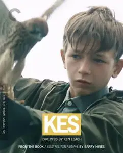 Kes (1969) [The Criterion Collection]