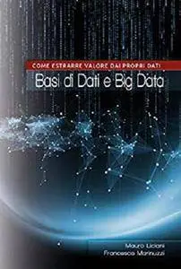 Basi di Dati e Big Data: Come Estrarre Valore Dai Propri Dati [Kindle Edition]