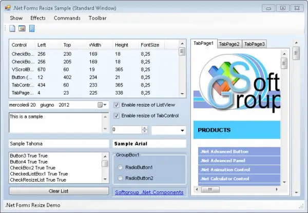 Softgroup .NET Forms Resize 7.0.4842
