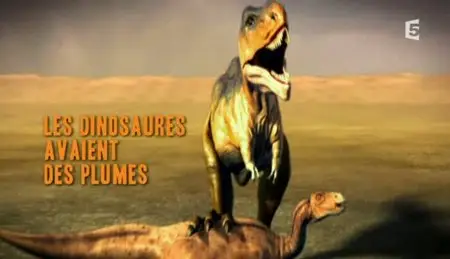 (Fr5) Les dinosaures avaient des plumes (2011)