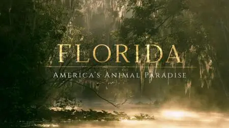 Florida: Americas Animal Paradise (2019)