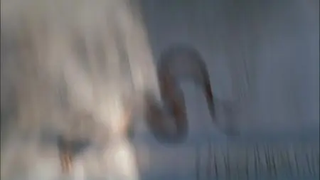 Rome S01E09