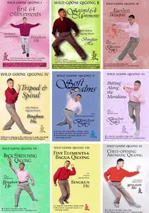 Dr. Bingkun Hu - Wild Goose Qigong Complete Set