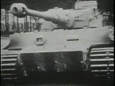 Tiger Panzer