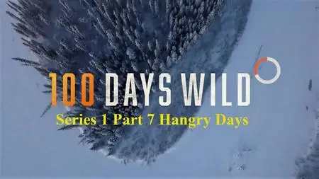Discovery Channel - 100 Days Wild Series 1 Part 7 Hangry Days (2020)