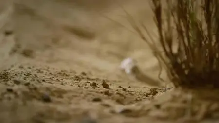 Dead by Dawn S01E02