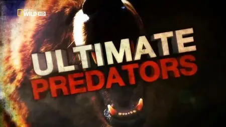 National Geographic - Ultimate Predator (2014)