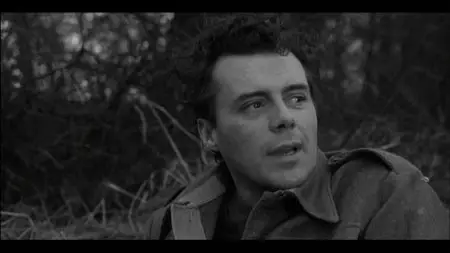 The Password Is Courage (1962)