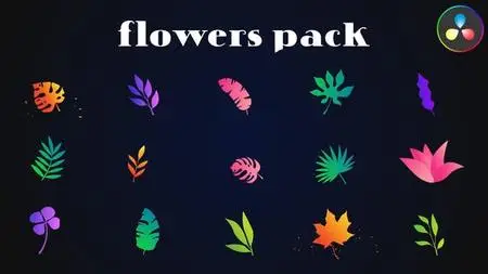Colorful Flowers Pack for DaVinci Resolve 52077308