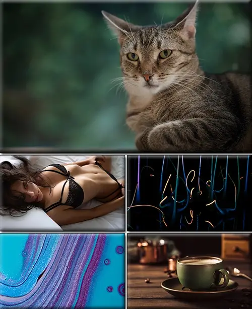 Computer Desktop Wallpapers Collection. Part (2530)