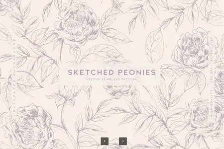 EE - Sketched Peonies 883347U