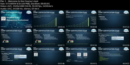 Certified Data Management Professional - CDMP