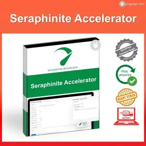 Seraphinite Accelerator v2.29.18
