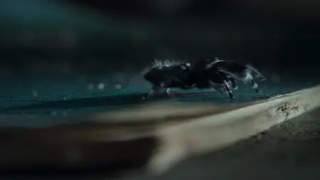 Nightmares of Nature S02E03