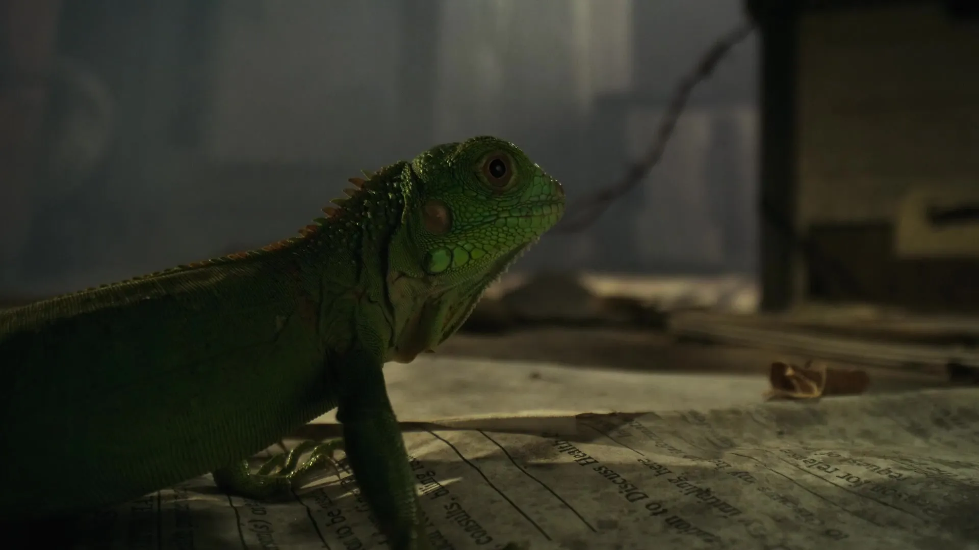 Nightmares of Nature S02E03