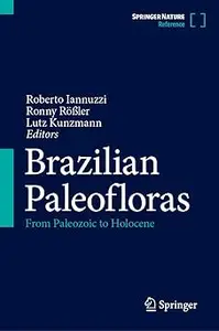 Brazilian Paleofloras: From Paleozoic to Holocene