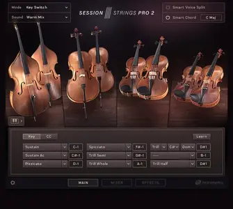 Native Instruments Session Strings Pro 2 v1.0.5 KONTAKT