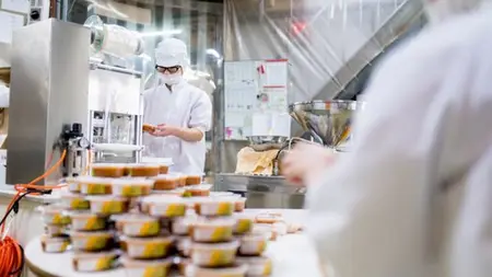 Haccp: Food Safety And Quality Management Certification