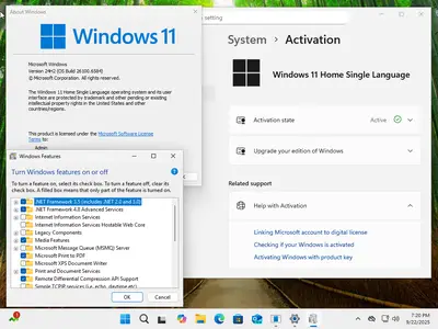 Windows 11 AIO 16in1 24H2 Build 26100.6584 (No TPM Required) With Office 2024 Pro Plus Multilingual Preactivated September 2025
