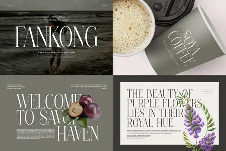 Fankong Minimalist Serif Font Typeface