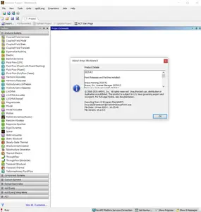 Ansys Products+ 2025 R2 with Local Help