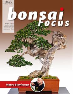 Bonsai Focus (English Edition) - March/April 2023