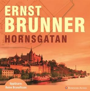 «Hornsgatan» by Ernst Brunner