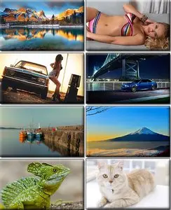 Computer Desktop Wallpapers Collection. Part (1339)