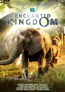 Enchanted Kingdom / Зачарованное Королевство (2013) [ReUp]