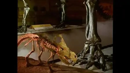 Attenborough's Passion Project (2016)