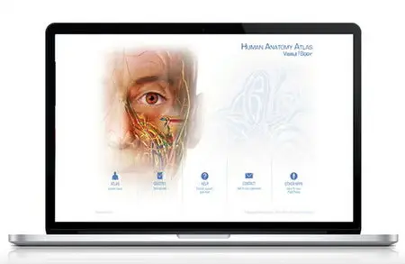 Visible Body Human Anatomy Atlas 2014 Portable
