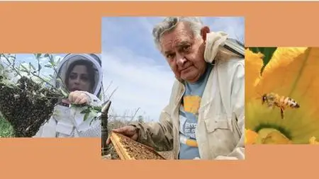 Become A Beekeeper: Easy Step-By-Step Video Demonstrations