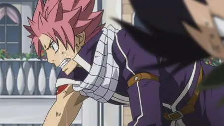 Fairy Tail 161-170 (2009-2013)