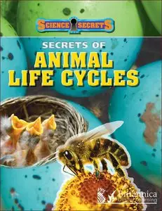 Secrets of Animal Life Cycles (repost)