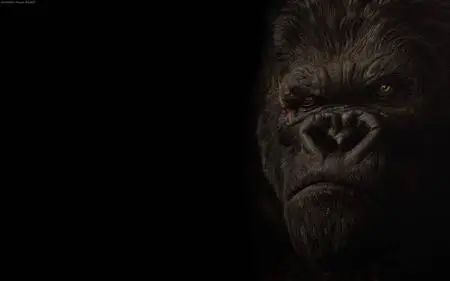 King Kong  Wallpaper 