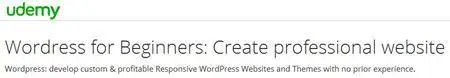 Wordress for Beginners: Create professional website
