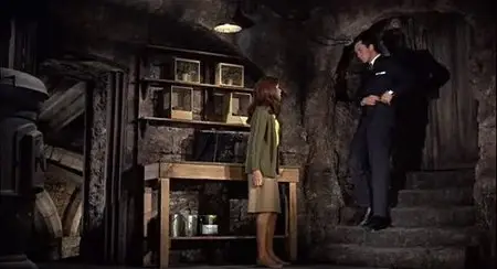 The Collector (1965)