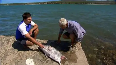 ITV - River Monsters: Series 2 (2010)