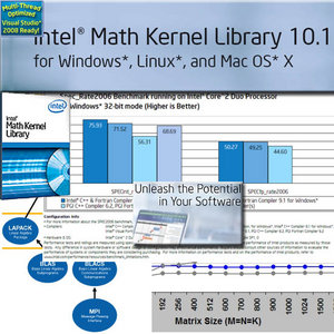 Intel Math Kernel Library v10.1.1.022