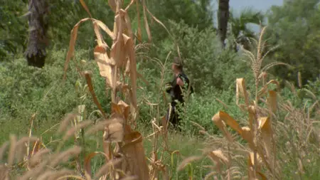The Dead (2010)