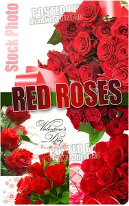 Red Roses - UHQ Stock Photo