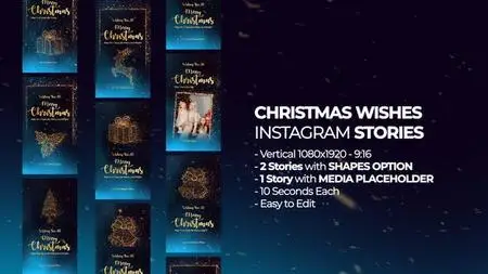 Christmas Wishes Instagram Stories 49639914