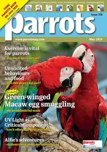 Parrots - May 2024