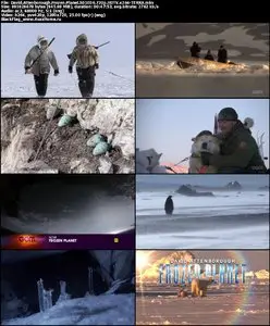 David Attenborough Frozen Planet S01E06 The Last Frontier