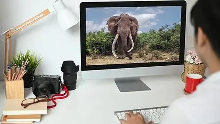 Photoshop For Wildlife And Nature Photographers