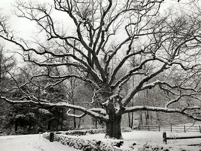 Black and White Photography