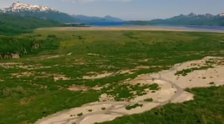 BBC Natural World - Grizzlies of Alaska (2012)