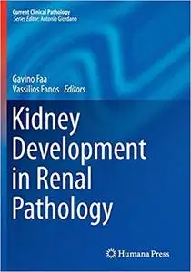 Kidney Development in Renal Pathology